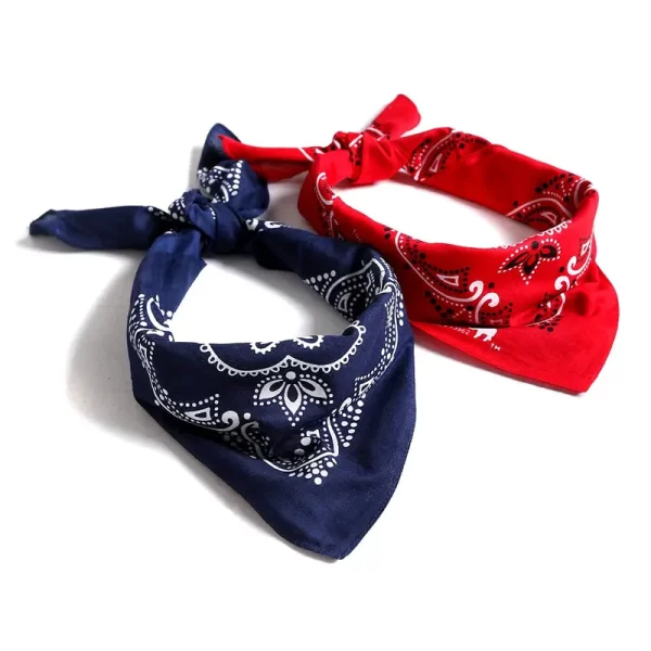 Bandanna (10) Bandanna