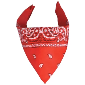 Bandanna 
