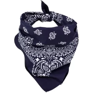 Bandanna 
