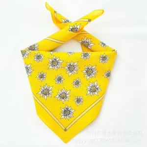 Bandanna 