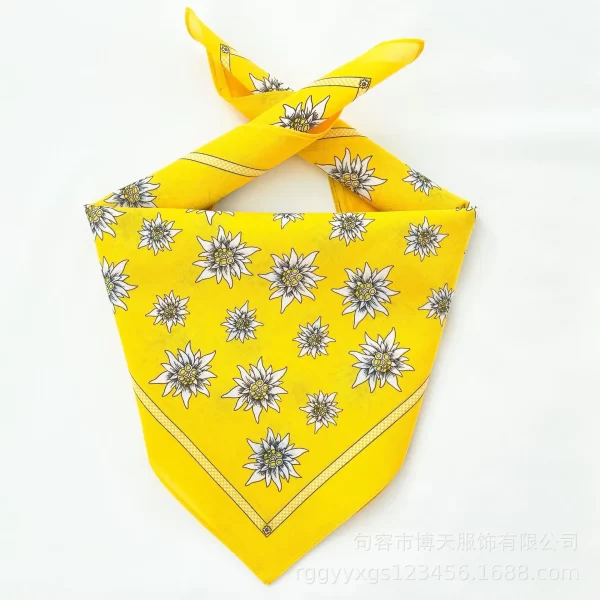 Bandanna (29) Bandanna