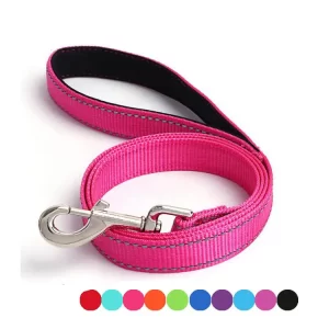 Dog Lead & Dog Collar Set