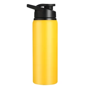 Thermal bottle with handle lid -700ml