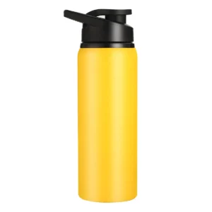 Thermal bottle with handle lid -700ml