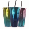 Vacuum Tumbler with straw